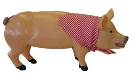 Pig